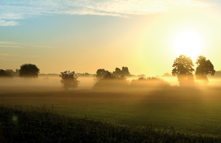 naturfotografie pfalz und baden baden