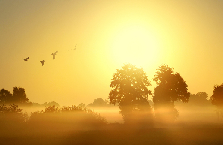 naturfotografie pfalz und baden baden