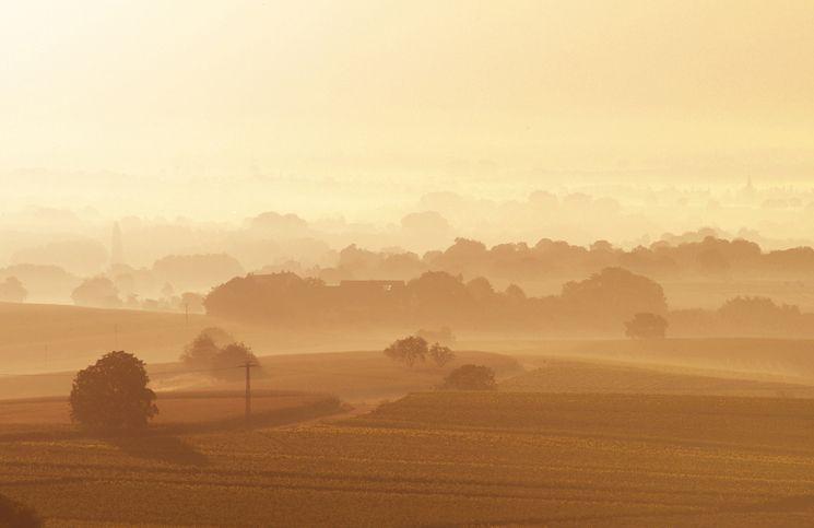naturfotografie pfalz und baden baden