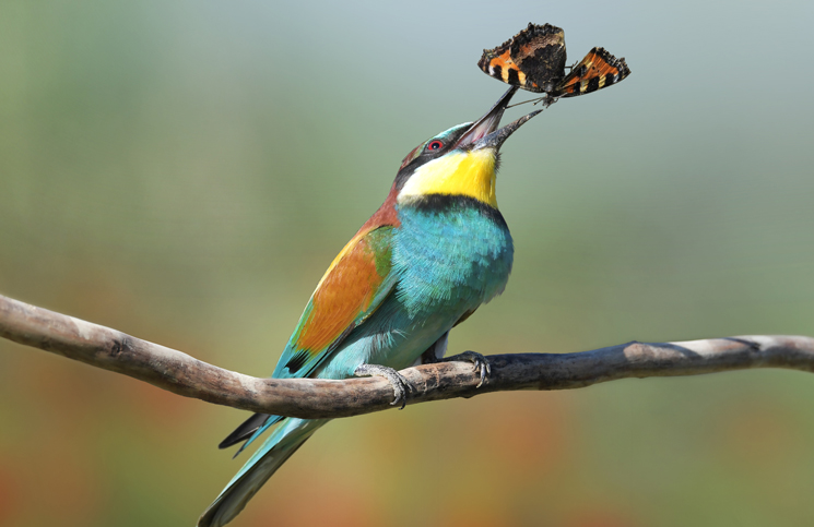 fotografie schwarzwald